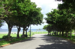 �N���j�b�N�O��