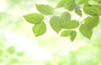 ���j�C���[�W